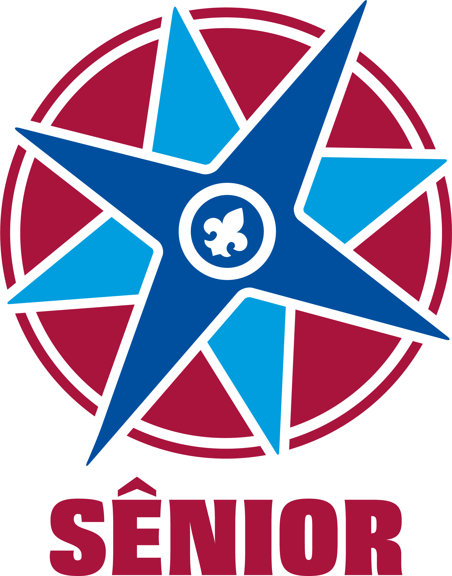 Ramo Sênior